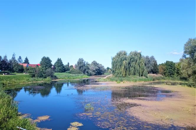 Zanieczyszczone Jezioro Słoneczne