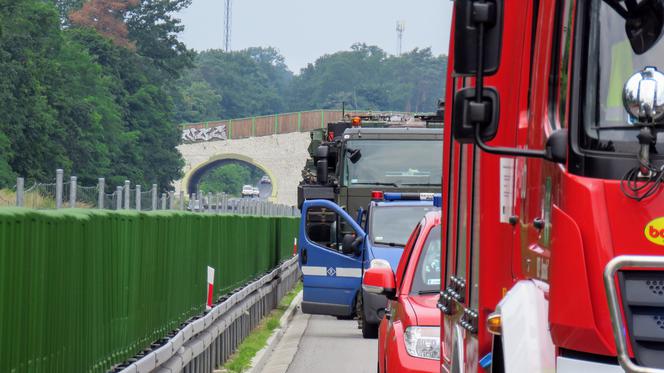 Nie żyje 12-letnia Pola. Dramatyczne kulisy tragicznego wypadku na S3. "Boże, nie zabieraj mi siostry". Serce pęka 