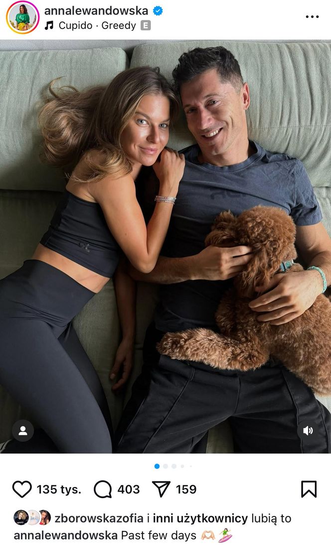 Te psy skradły serca gwiazd! Niektóre wyglądają jak z bajk