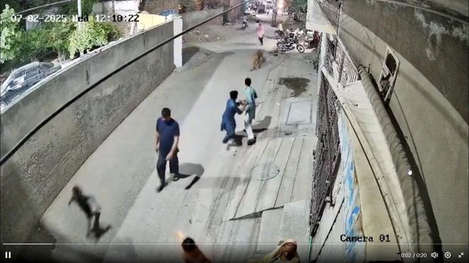 Lew rzucił się na dzieci i kobietę pośrodku ulicy! Oto, co stało się potem