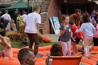 Nowa atrakcja w Lublinie dla dzieci! Farma dyń już działa