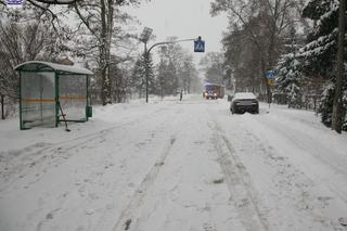 Potrącił 14-latkę na przejściu, dziewczynka walczy o życie. Kierowca busa usłyszał już zarzuty