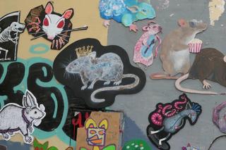 Stado szczurów i naga flecistka we Wrocławiu. Kolorowe gryzonie na wielkim muralu 