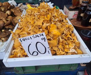 Ceny grzybów na Nowym i Starym Kleparzu w Krakowie