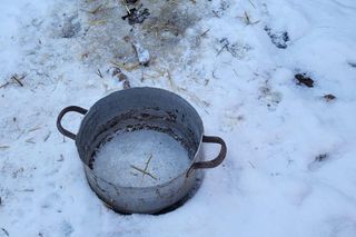 Koszmar suczki Figa niedaleko Gostynia. Sama skóra i kości, na mrozie, bez dostępu do wody i jedzenia