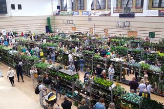 Festiwal Roślin w Nowym Sączu