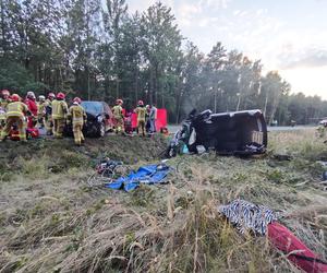 Wypadek pod Kościanem. Zderzenie samochodu z jeleniem doprowadziło do czołówki