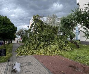 Powalone drzewa, zalania, wstrzymany ruch tramwajów: dramatyczny bilans orkanu nad Śląskiem