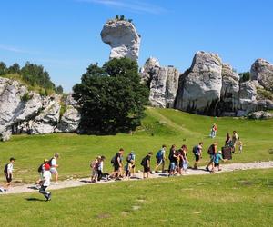 Oblężenie na zamku w Ogrodzieńcu w długi weekend