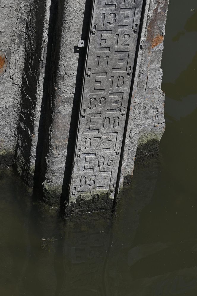 Niski stan wody w Wiśle