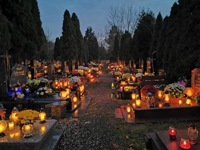 Cmentarz Centralny nocą