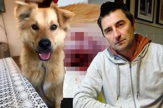 Myśliwy zastrzelił psa