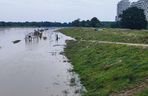 Fala powodziowa we Wrocławiu. Pod wodą są już beach bary i drogi 