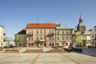 Kleszcze afrykańskie w Polsce