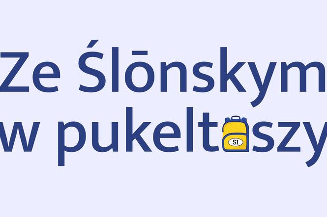 Ruda Śląska: Śląsk ukryty w pukeltaszy