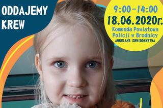 Oddaj krew dla Nadii Przybyłowskiej i pomóż ratować życie 5-latki z Brodnicy! 