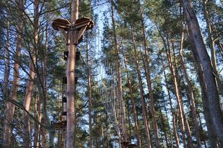 Powstaje park linowy w Białymstoku! To nowa inwestycja na plaży Dojlidy