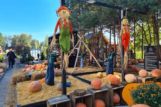 Dyniowa Farma w Radawie.  Jedno z najbardziej instagramowych miejsc na Podkarpaciu [GALERIA]