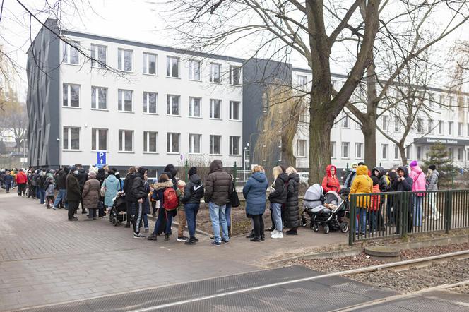 PESEL dla uchodźców z Ukrainy. W dwóch pierwszych dniach z obsługi w tym zakresie skorzystało w Gdańsku 6451 osób