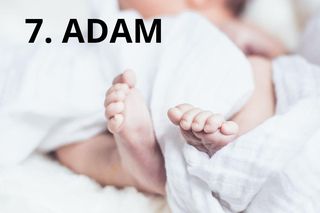 7. Adam (202)
