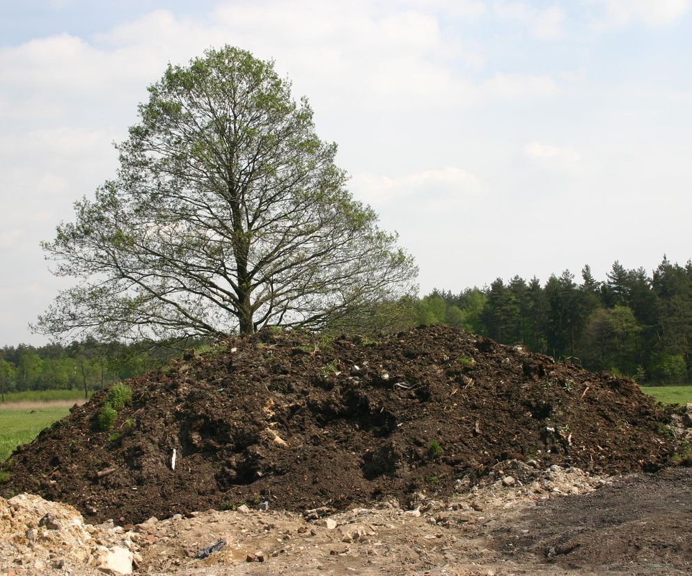Ziemia