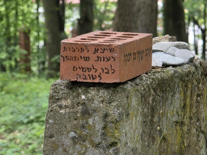 Cmentarz żydowski w Leżajsku