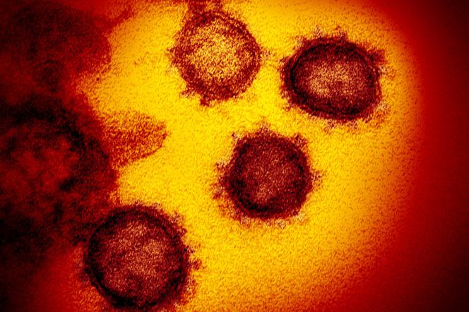 COVID wirus pandemia szczepienia