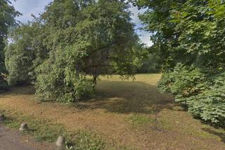 W tych parkach w Warszawie UPRAWIAJĄ SEKS. Będziesz w szoku!