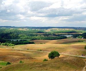 Góra Cisowa. Suwalska Fudżijama na terenie Suwalskiego Parku Krajobrazowego