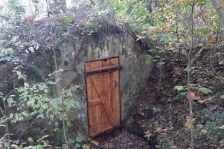 Wyremontowano poniemieckie schrony na Mazurach. Ich zastosowanie może zaskoczyć! [ZDJĘCIA]