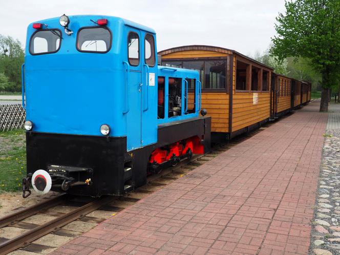 Kolejką wąskotorową przez Puszczę Białowieską
