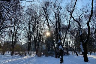 Śnieżna zima w Parku Praskim