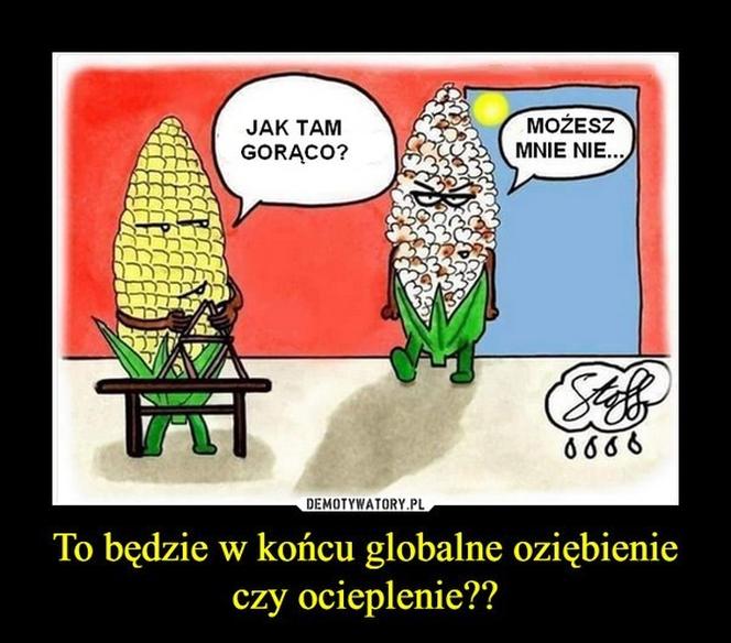 Memy o upale