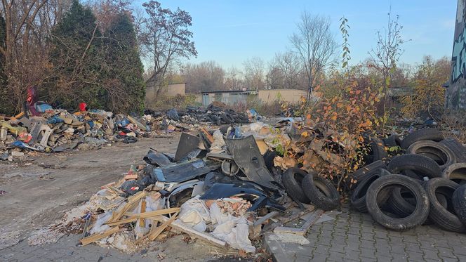 Duże zmiany Nowej Hucie. Trwa wielkie sprzątanie po latach zaniedbań 