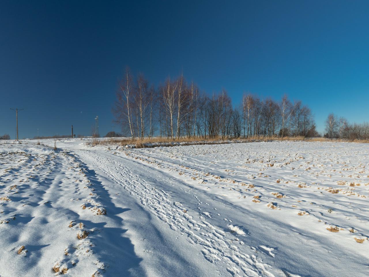 W Polsce jak na Syberii. Siarczysty mróz da się we znaki!