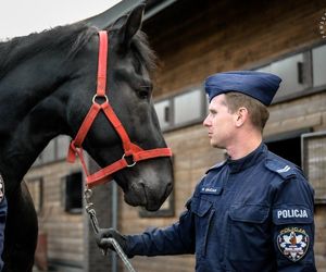 Śląska policja ma dwóch nowych funkcjonariuszy. To Donald i Rokita. Właśnie rozpoczęli szkolenie