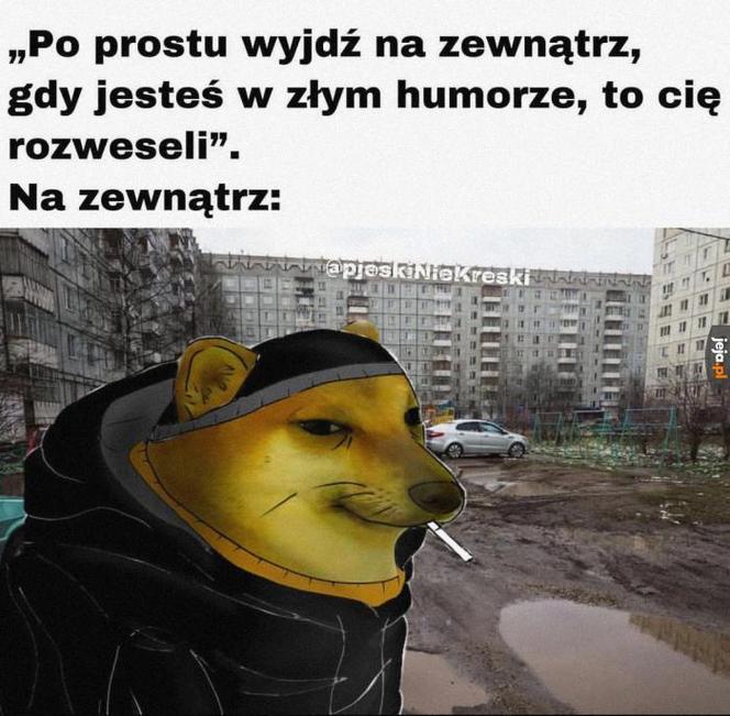 Najśmieszniejsze MEMY o zimie