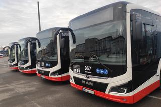 Do Radomia trafiły nowe autobusy