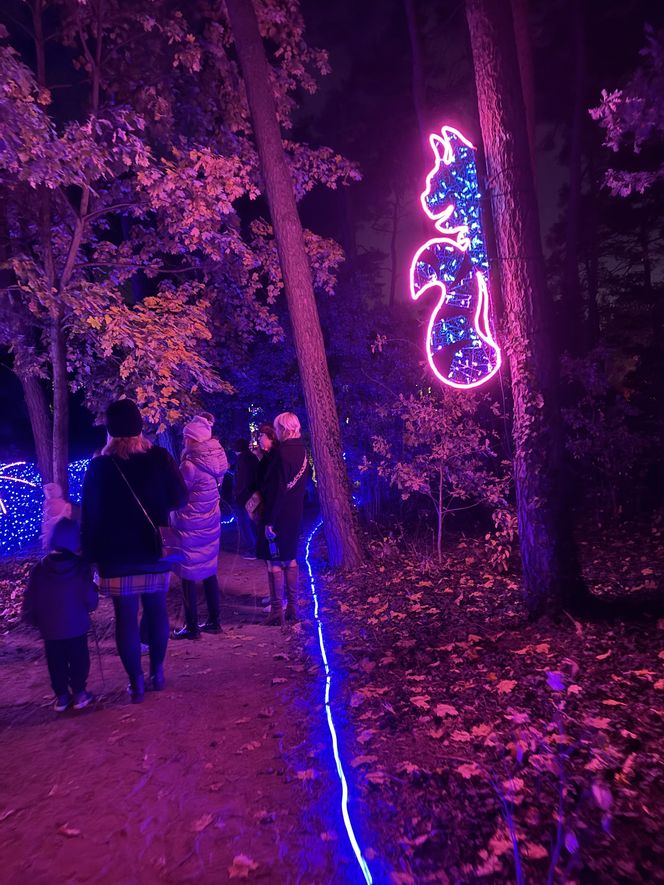 Lumina Park Poznań w święta 