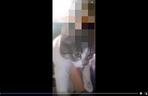 13-latek maltretował kota, a jego kolega to nagrywał! Nie uniknie kary 