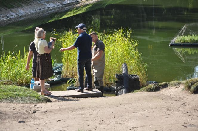 Złota polska jesień w Kielcach. Pogoda dopisuje spacerującym