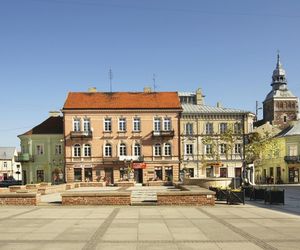 Kleszcze afrykańskie w Polsce