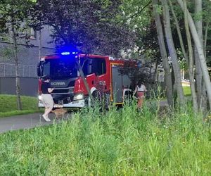 Akcja ratunkowa w Dolinie Trzech Stawów w Katowicach