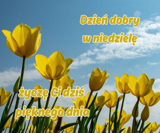 dzień dobry w niedzielę - kartka