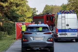 Potworna śmierć. Auto roztrzaskało się na drzewie. Wypadek w Wólce Radzymińskiej