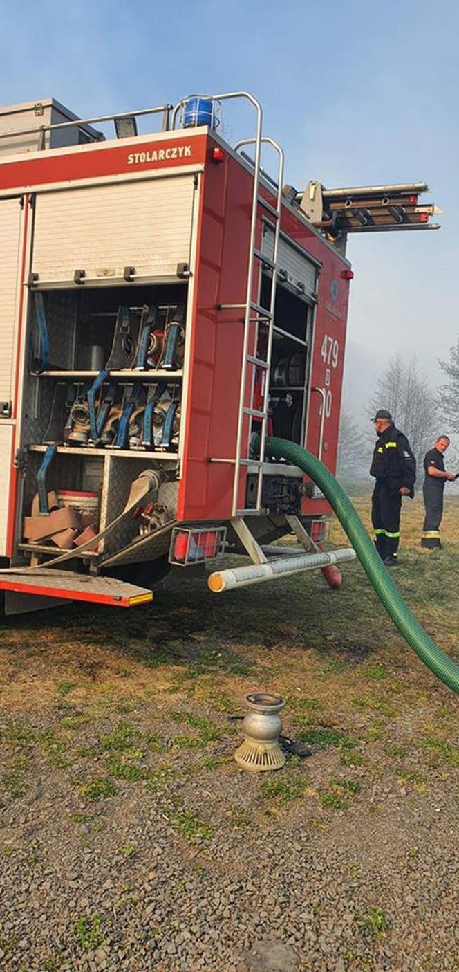 Pożar Lubańskiego Wielkiego Lasu 