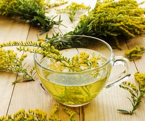 Nawłoć pospolita - właściwości, zastosowanie, przeciwwskazania