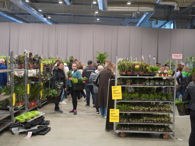 Największy targ roślin doniczkowych ponownie w Lublinie