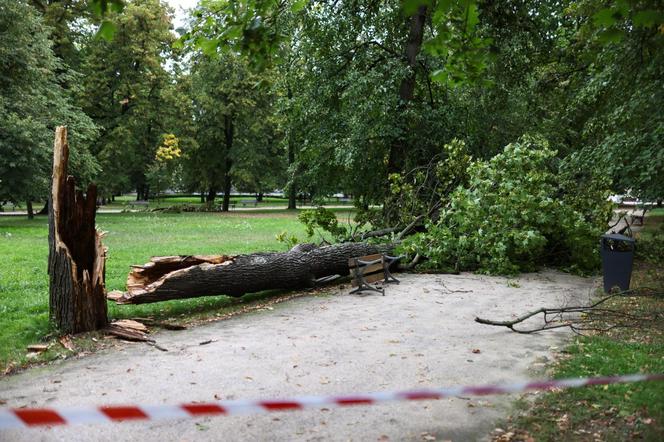 Park wilanowski zamknięty po burzy w Warszawie