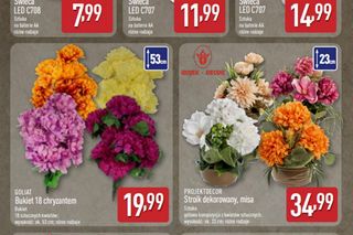 Aldi na Wszystkich Świętych